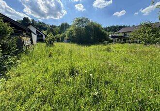 Blick in Richtung Zufahrt